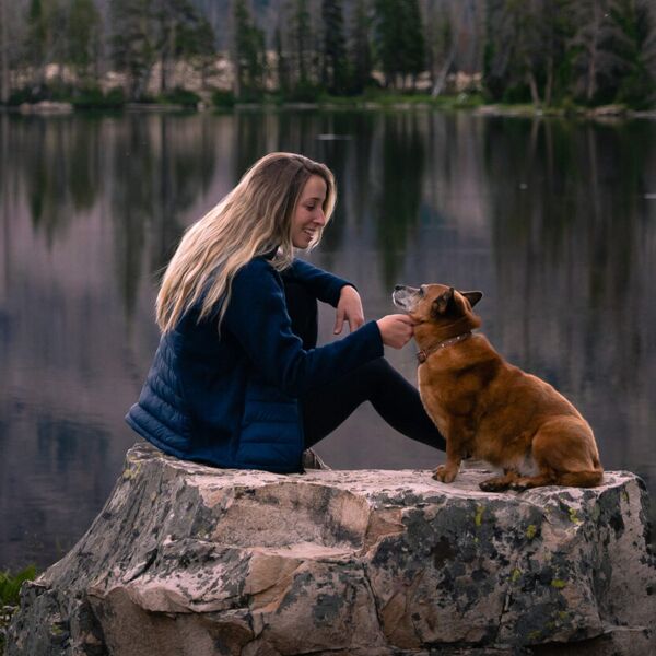 Stormtech Women’s Narvik hybrid jacket ST199 Women’s Narvik hybrid jacket Thumbnail