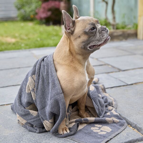 Home & Living Jumbo terry jacquard dog towel HL235 Jumbo terry jacquard dog towel Thumbnail